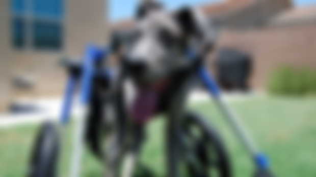 It’s been a while…….