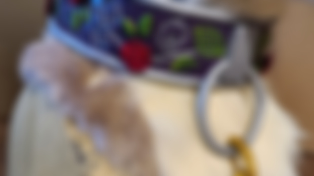 EVA foam collar 