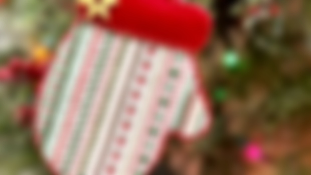 The Christmas Mitten for Members