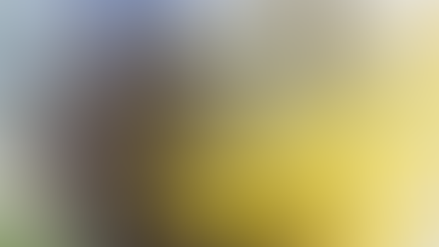Oct Art 2024