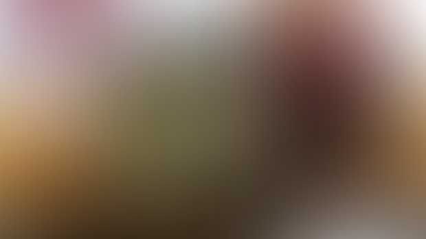 ACCESS PSD FILE: Mulan and Li Shang