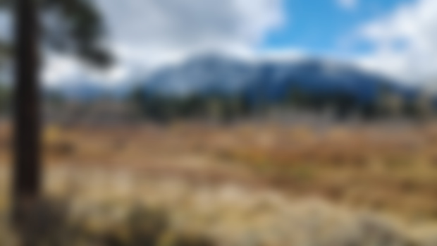 November 2024 Newsletter: Photo Update