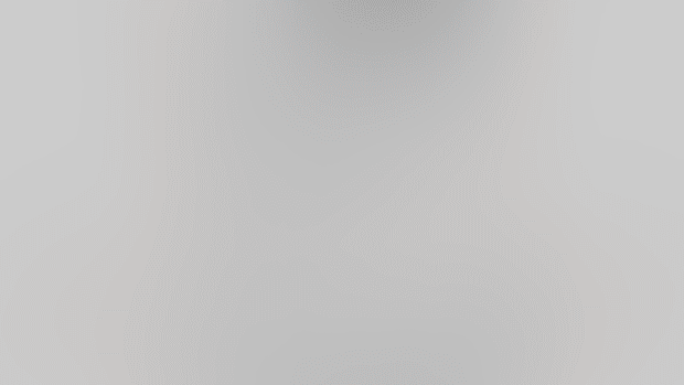 Yskra (Raptor) and Lyn (Pangolin) Animation - Wip 2