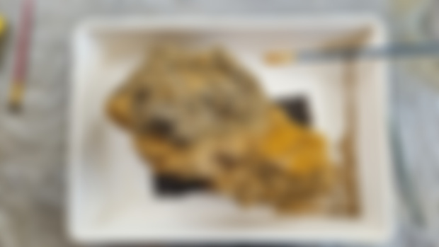 Prepping some of the recent finds