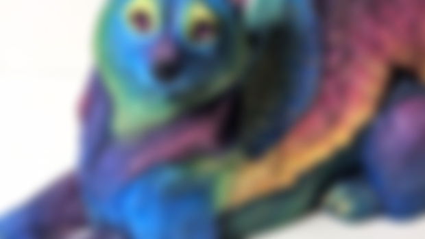 Rainbow wolf needs a name! 