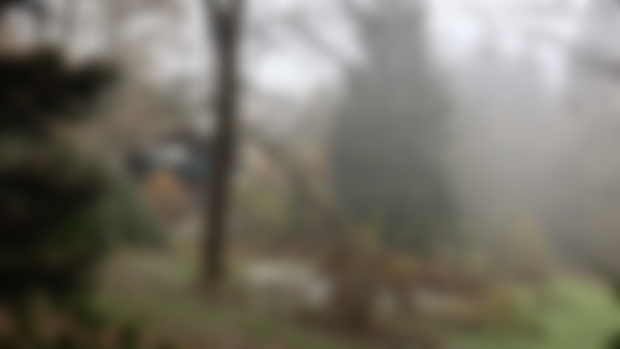 Novembernebel 