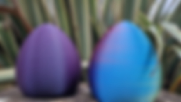 Dragon Eggs