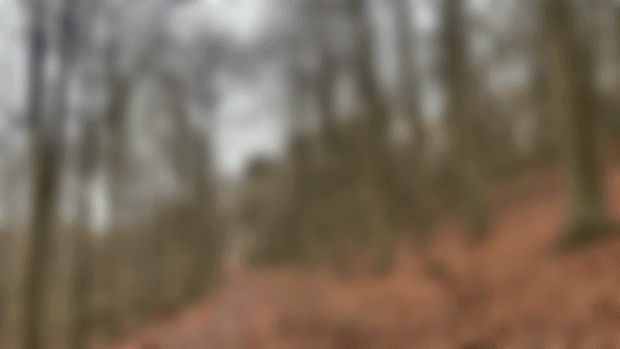 Free Use Reference Photos for Patreon Members: November's Pearl-Grey Skies