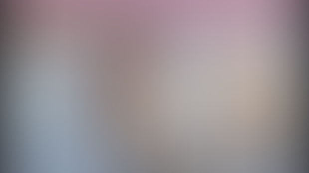 Maned Wolf VRchat Update!