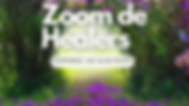 ✨ PORTAL DE PATRON EN ZOOM