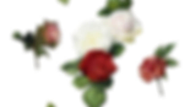 Who wants some Victorian style flowers?