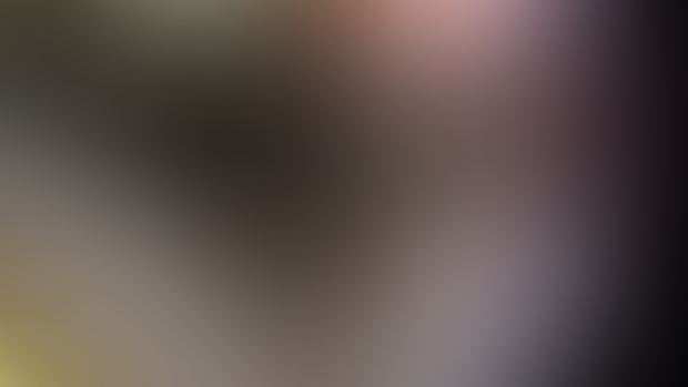 Patreon Progress Update (NOV'24)