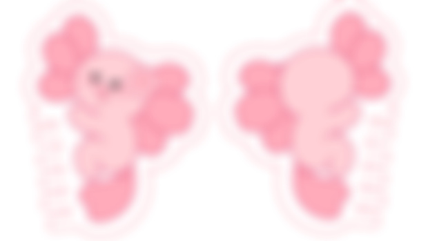 Agi Hair Claw Design 