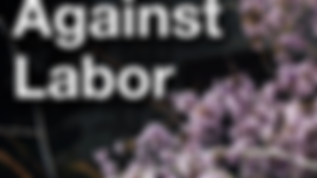 Against Labor