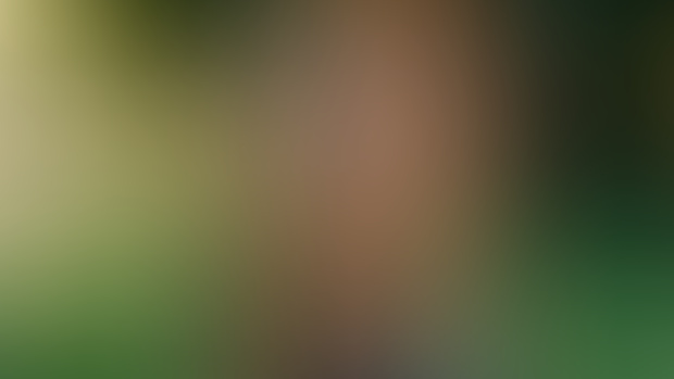 Hey