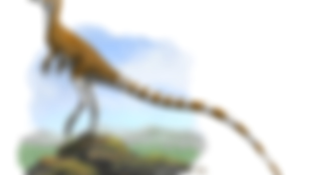 Two stories of palaeocolour
