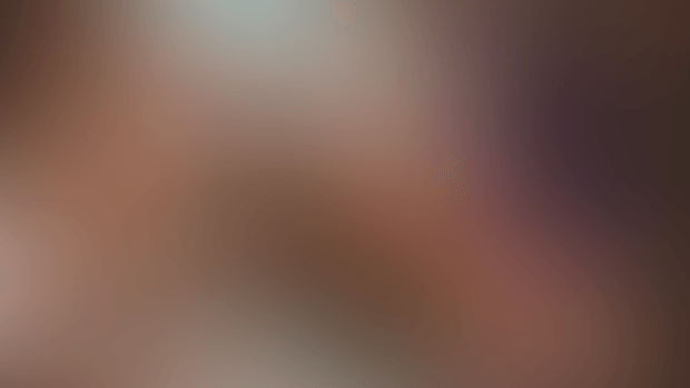 [ANIMATION] LFI EXCL