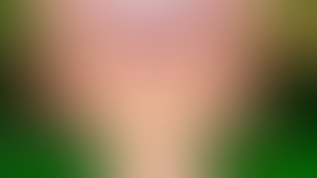 Amy Rose POV