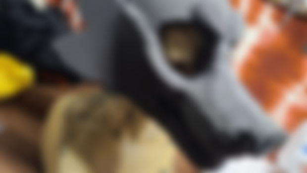 Space coyote wip premade