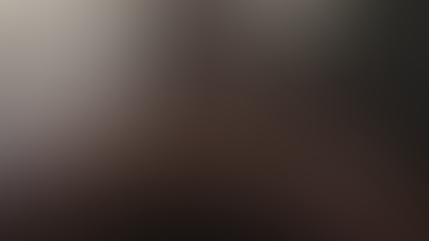 Animation Progress Update