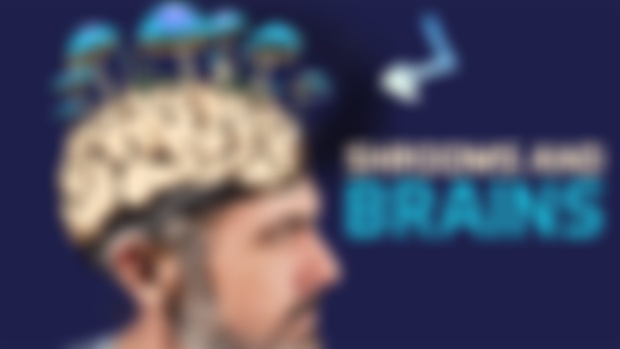 LiveStream Dec 16th