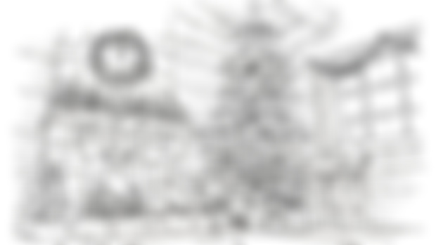 WALKABOUT: Birdseye Sketch