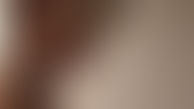 Weekly Update #012