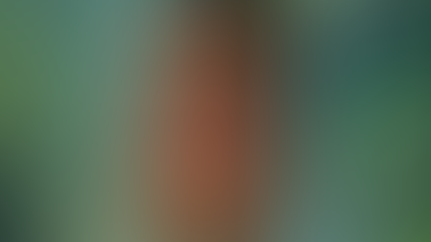 Amazonia Chapters 1-2