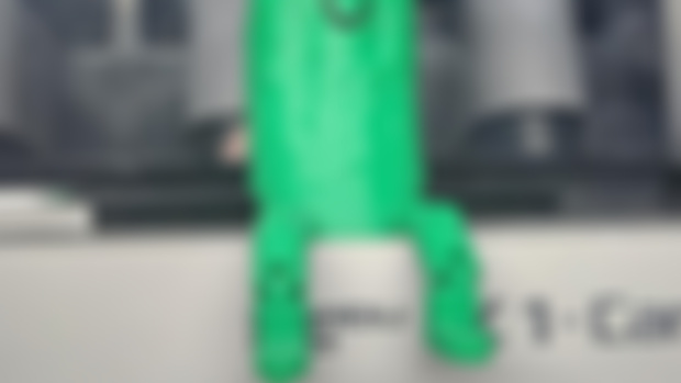 Christmas Pickle