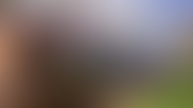 Some updates!