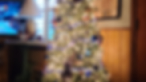 🎄 Getting in the Christmas spirit. 🎄 