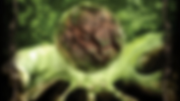 Monthly Tokens! (Embodiment of Earth)