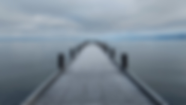 December 2024 Newsletter: The Final Stretch of the 2024 Tahoe Big Year
