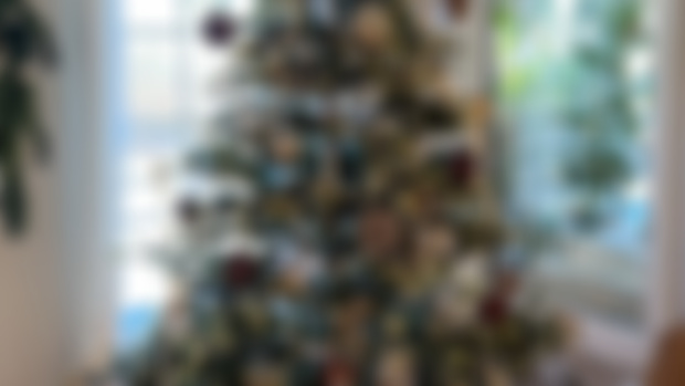 December Plant Chat