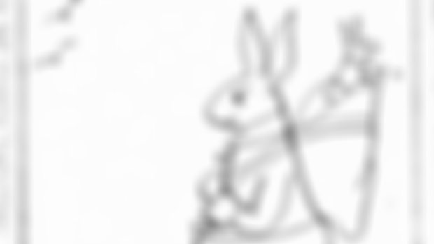 TTR Bonus Bunnies 