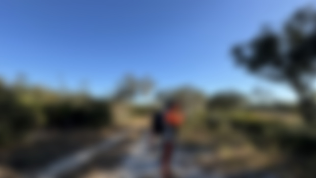 Adventure Update + Hike / 12-7-24