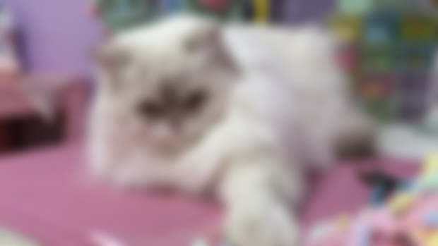 Stream postponed