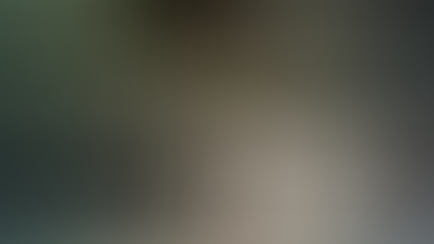 POV 24 (4/4)