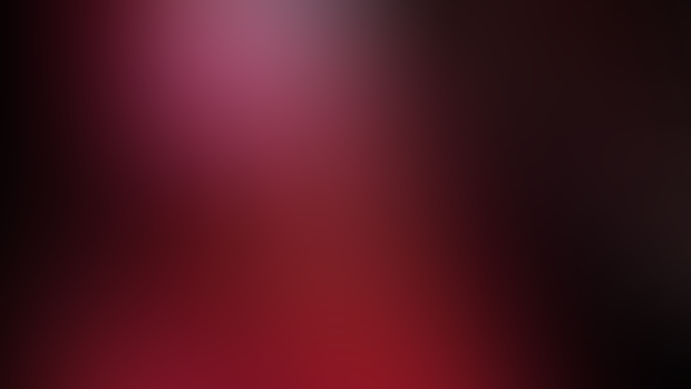 Sallie`s Christmas Gift (animation)