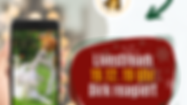 🎅🏼🎄Der nächste Livestream steht an!