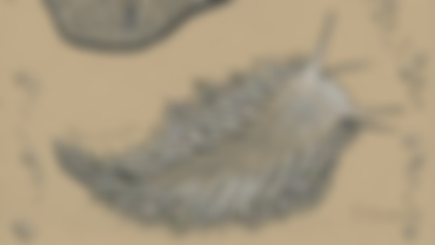 News, Updates and other Fun