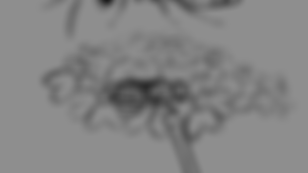 Cuckoo Wasp Sketch/WIP