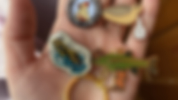 Sneak Peek at 2025 Pins!