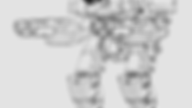 Havoc Concept Sketch