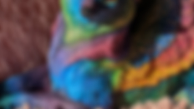 Aureli the Rainbow Wolf! 