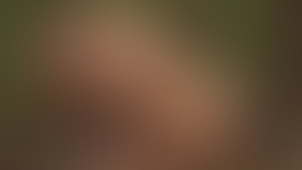 A nice time in the forest (part 3/3)