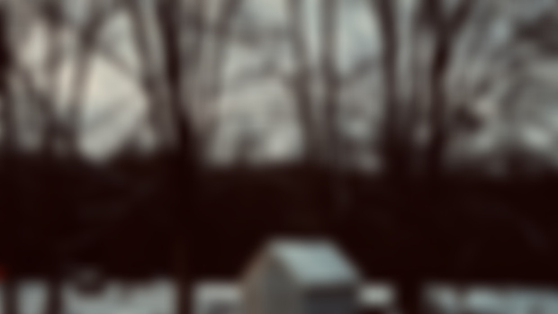 Cold Moon Days