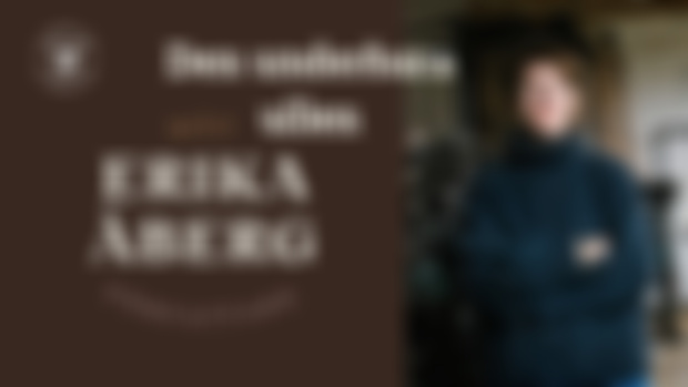 Webinar med författare Erika Åberg