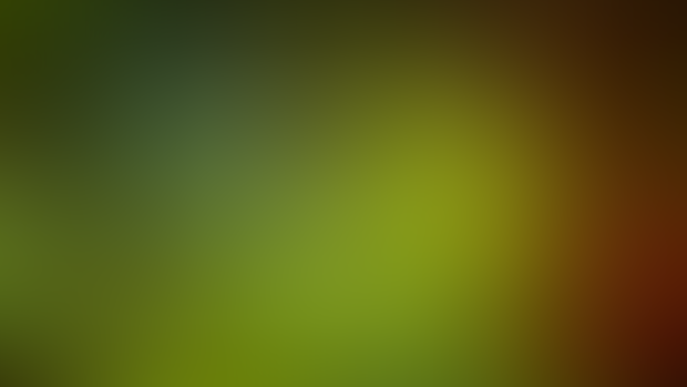 [Animation] Morank