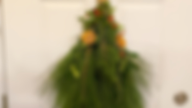 December Patreon Exclusive Newsletter